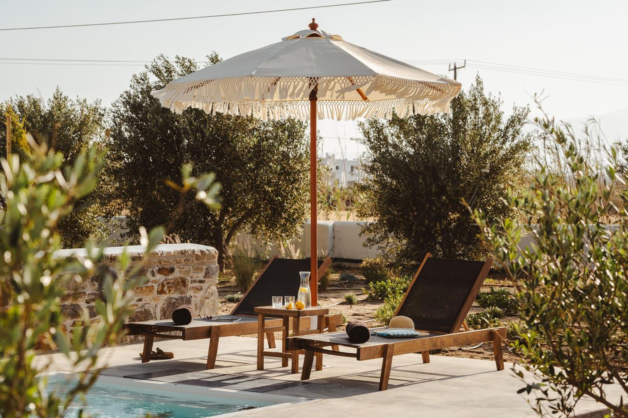 Santo Concept Luxury Villa Agia Anna (Naxos)